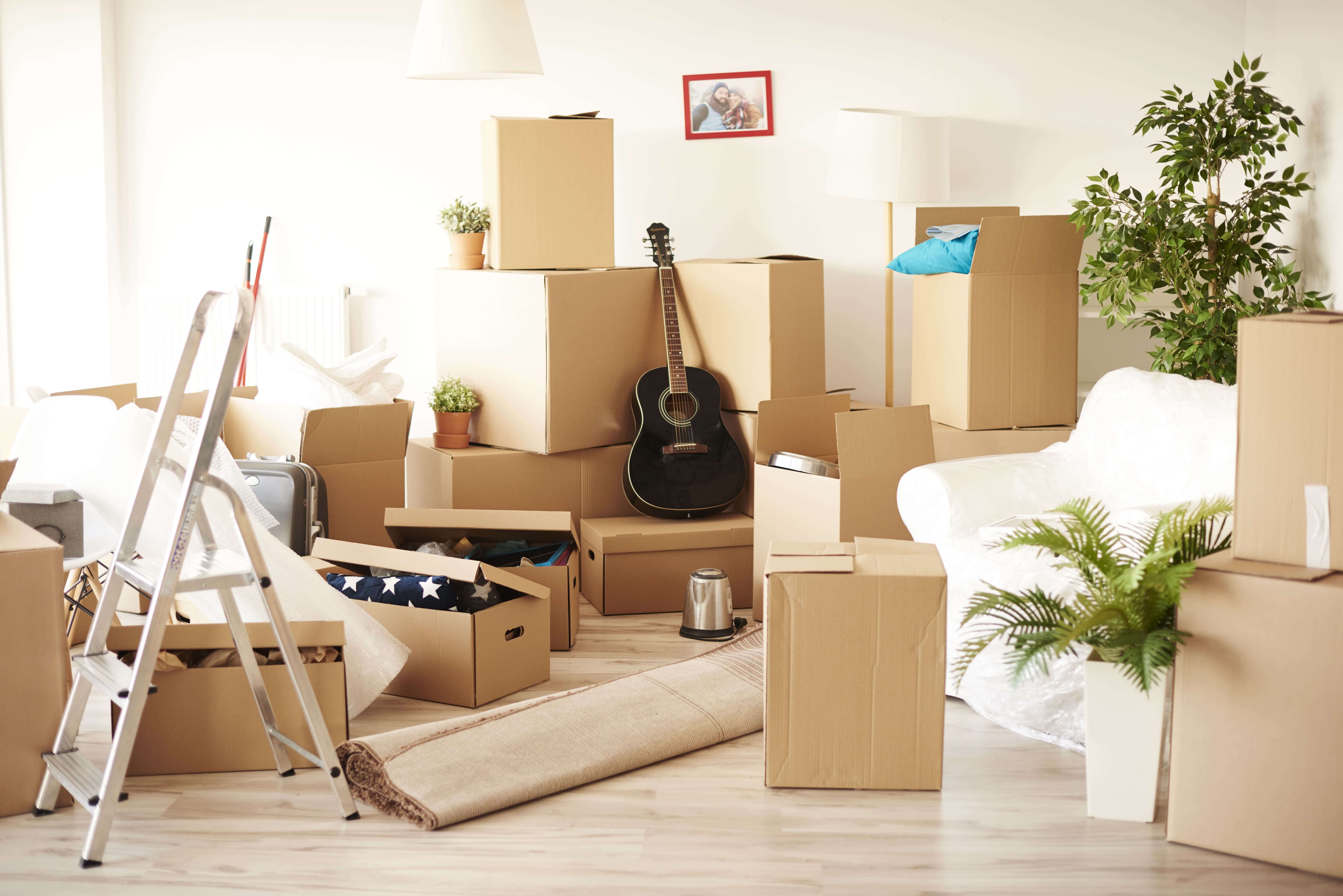 Moving boxes organised to reduce stress on moving day