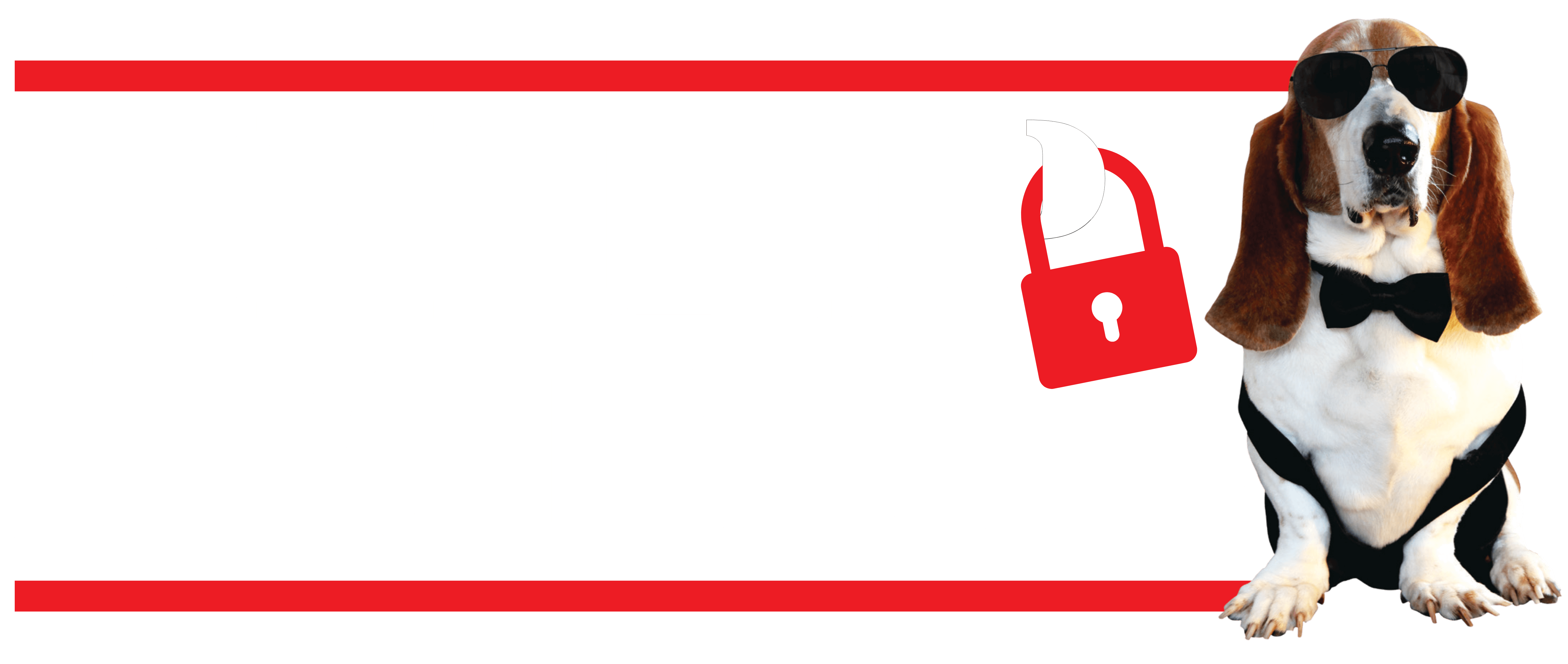 Lock Up Storage logo
